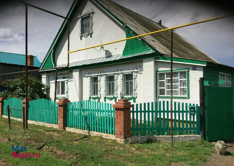 Мамадыш село Нижний Шандер частные дома