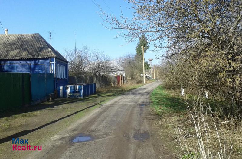 Суджа село Камышное, улица Холодная Гора частные дома