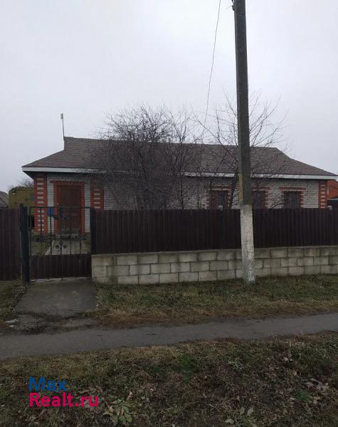 Михайлов село Стрелецкие Выселки, 118 частные дома