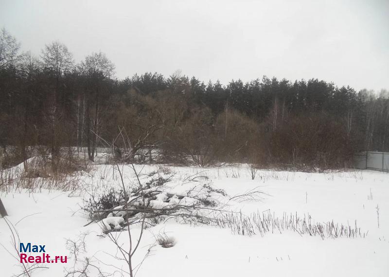 Липецк село Малей, Российская улица частные дома