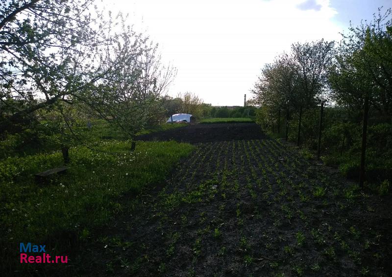 Шебекино село Нежеголь частные дома