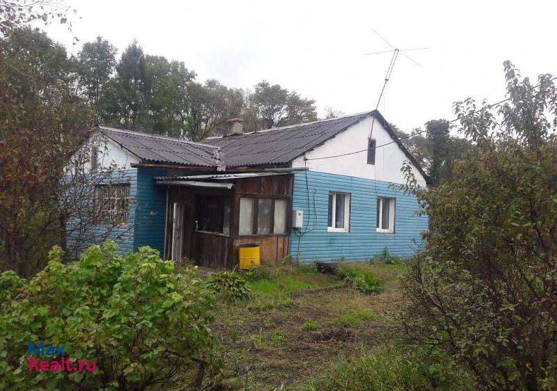 Хабаровск село Сосновка, Шоссейная улица, 22А частные дома