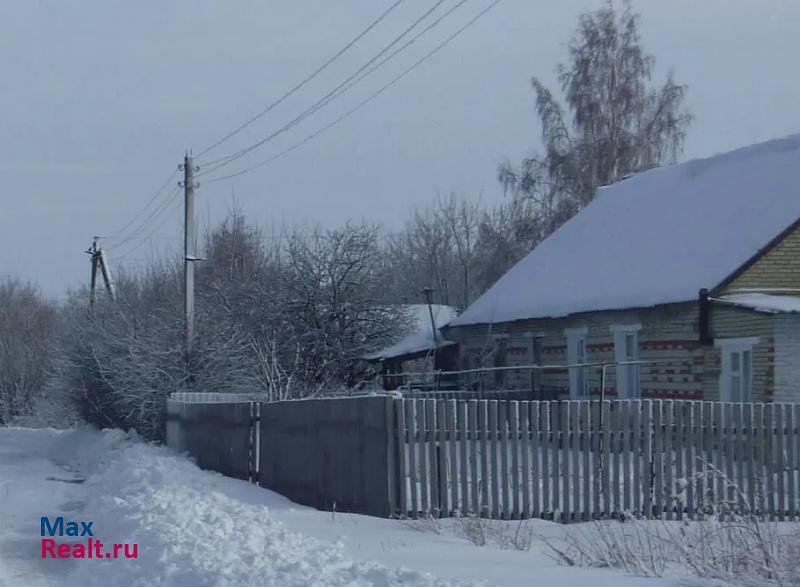 Каменка сельское поселение Успенский сельсовет, посёлок Отрадный, Центральная улица частные дома