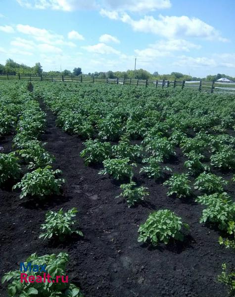 село Алексеевка Любинский продам квартиру