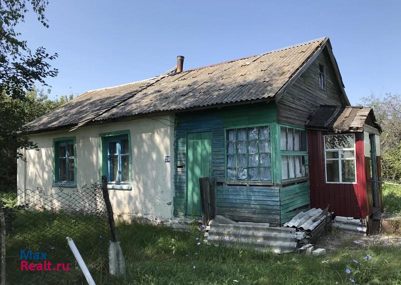Панино село Новохреновое частные дома