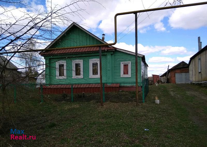 Гагино село Борнуково, Центральная улица частные дома