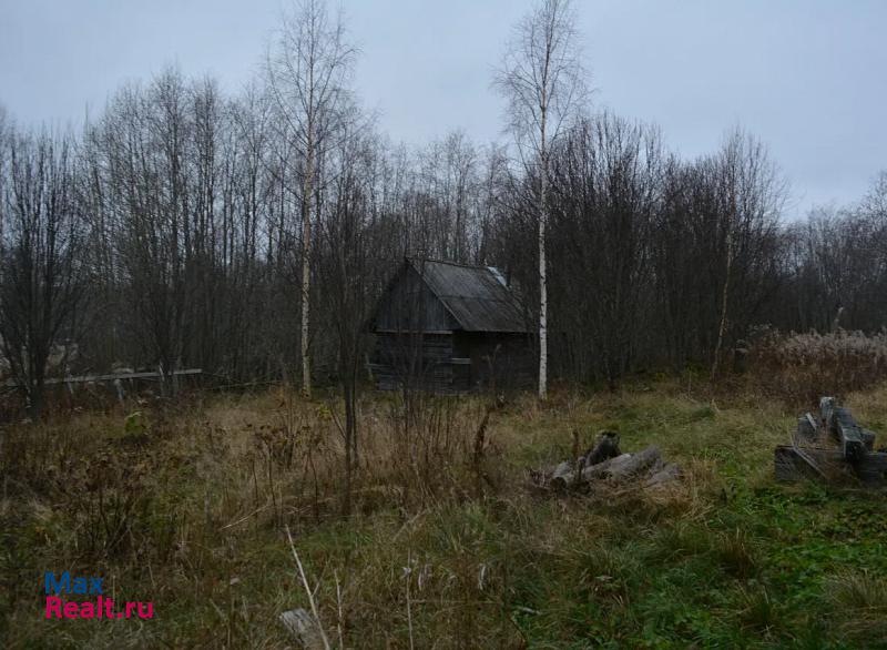 Петрозаводск Прионежский район, деревня Ялгуба продажа частного дома