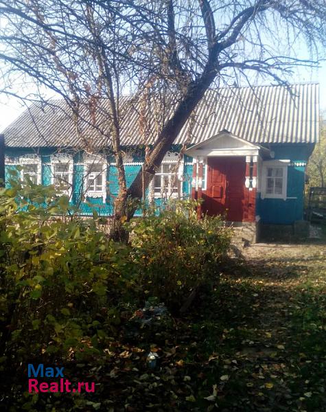Брянск Бежицкий переулок, 2 продажа частного дома