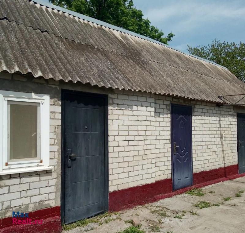 Орловка село Орловка продажа частного дома