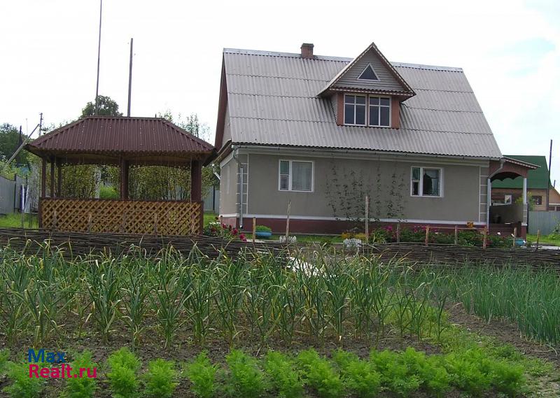 Чистогорский посёлок Чистая Грива продажа частного дома