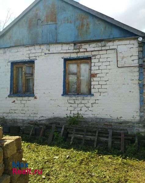 Пятницкое село Борисовка продажа частного дома