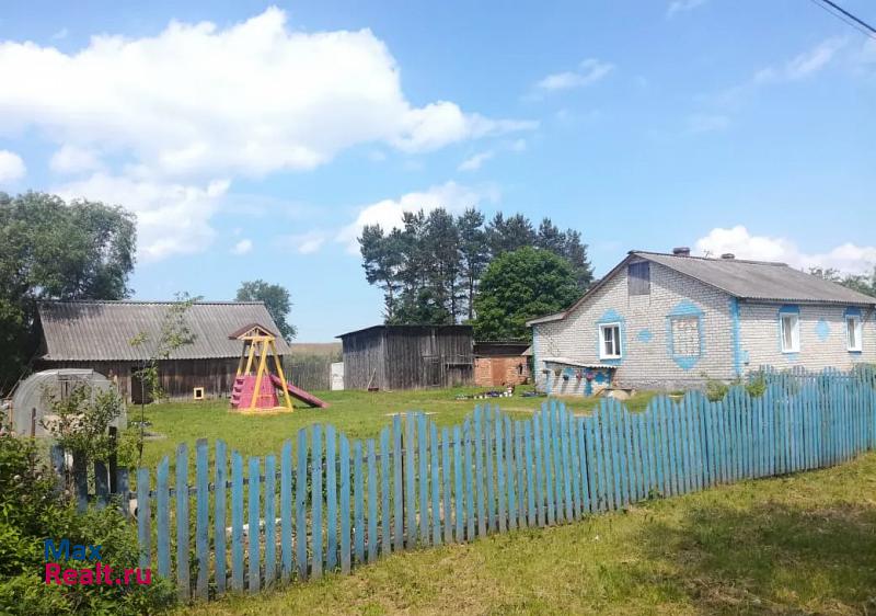 Новосокольники деревня Насва продажа частного дома