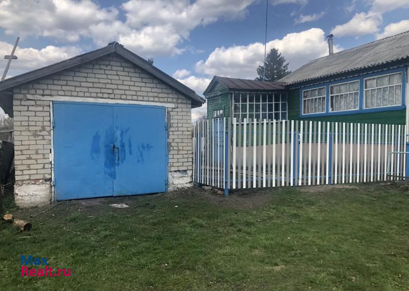 Ромоданово село Курмачкасы продажа частного дома