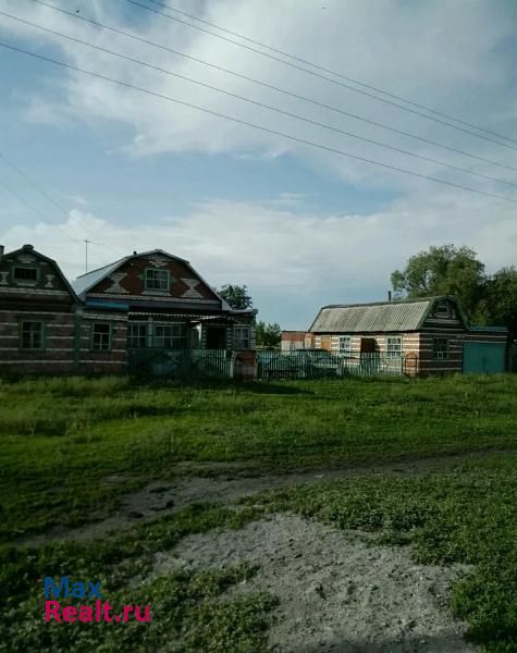 Краснозерское село Мохнатый Лог продажа частного дома