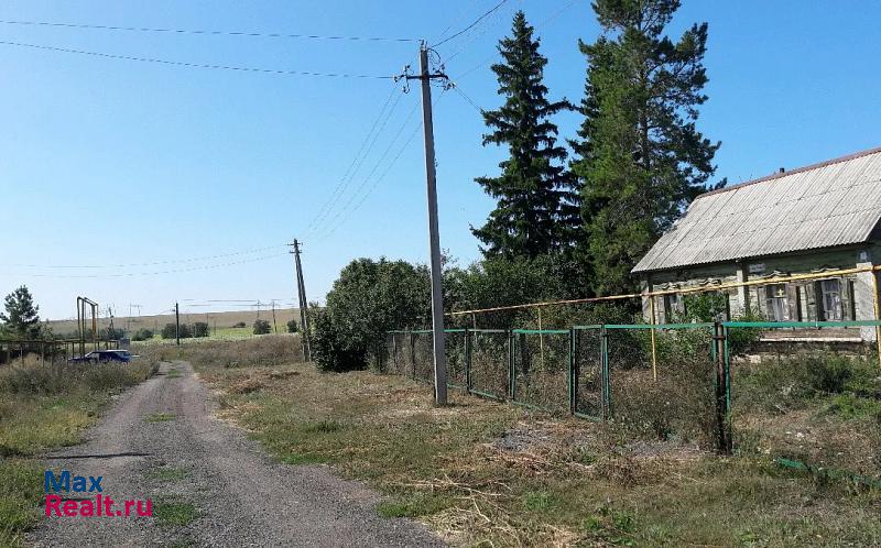 Новосемейкино село Чубовка продажа частного дома