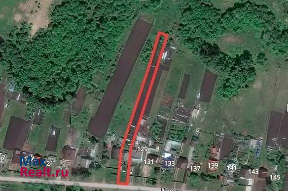 Кочкурово село Горяйновка, Центральная улица, 129 продажа частного дома