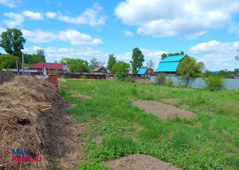 Николаевка Еврейская автономная область, посёлок городского типа Николаевка, Первомайская улица продажа частного дома