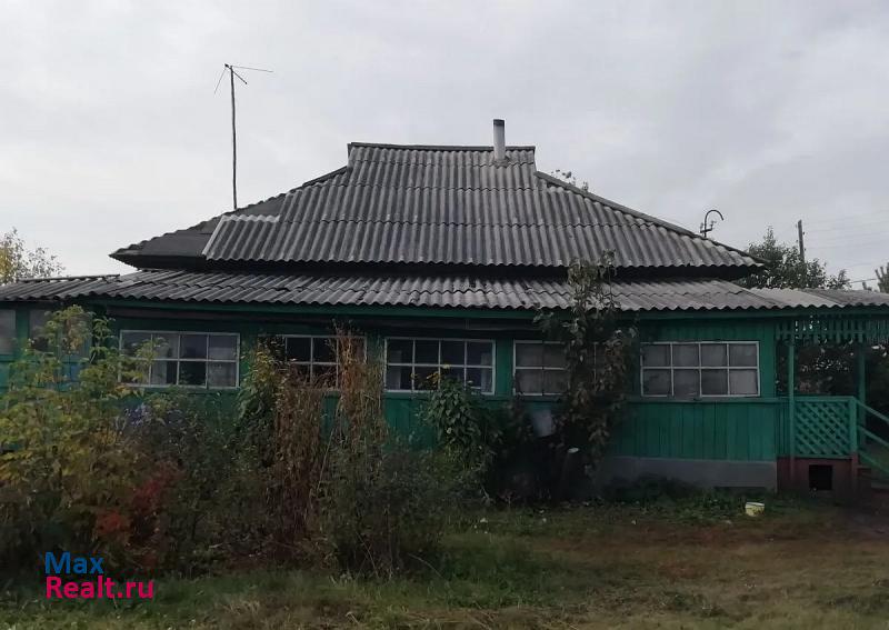 Мамонтово село Покровка, Центральная улица продажа частного дома