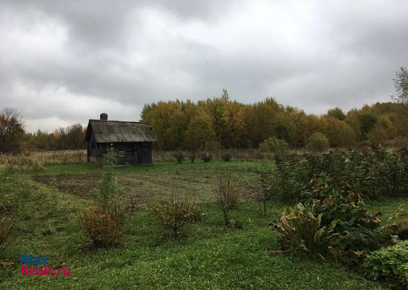 Плес Костромская область, деревня Антоновское продажа частного дома