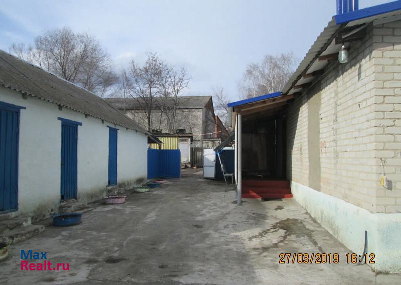 Репьевка село Репьёвка, Торговая улица, 37 продажа частного дома