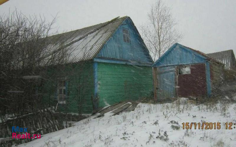 Ржакса Тамбовская обоасть, село Каменка продажа частного дома