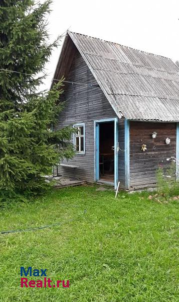 Некрасовское деревня Бор продажа частного дома