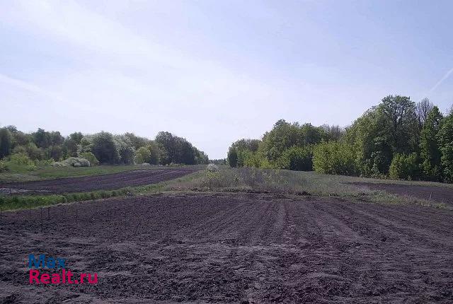 Хлевное село Старое Дубовое, Центральная улица, 10 продажа частного дома