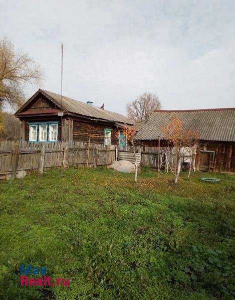 Первомайск село Малый Макателем продажа частного дома