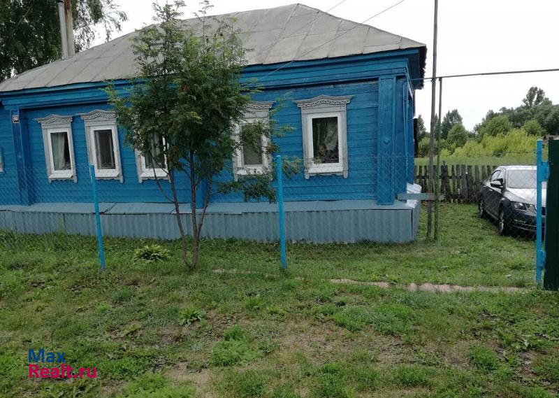 Починки село Кочкурово, Пролетарская улица продажа частного дома