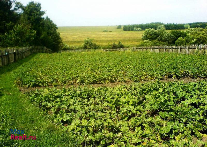 Кораблино село Княжое продажа частного дома