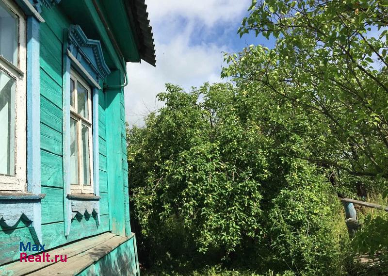 Лукоянов село Кудеярово, улица Новоe Начинание, 116 продажа частного дома