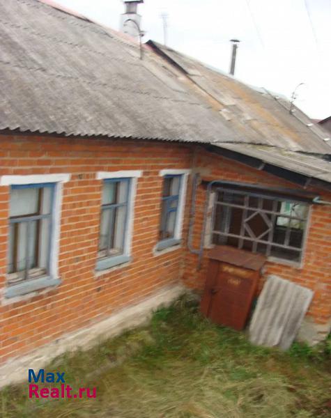 Киреевск деревня Брусяновка, 53 продажа частного дома