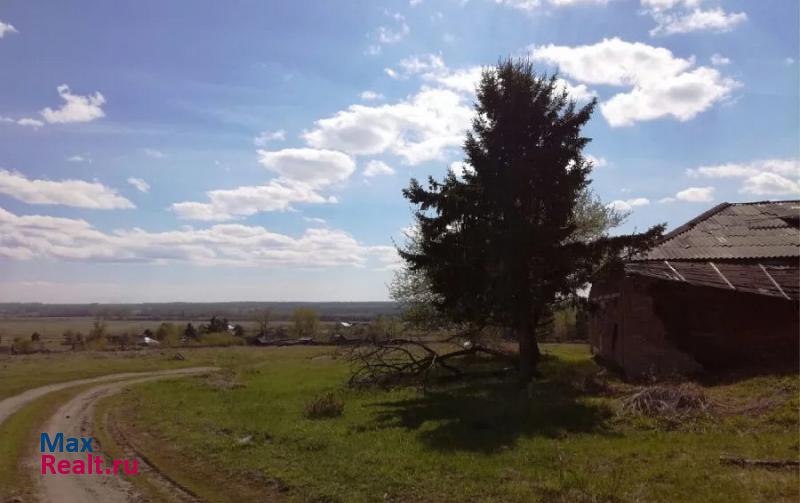 Заринск село Стародраченино продажа частного дома