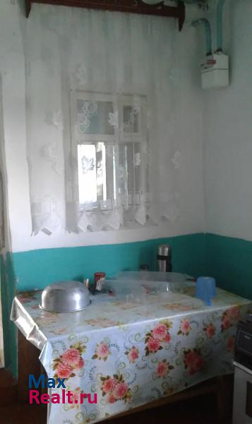 Чистополь деревня Тябердино-Челны продажа частного дома