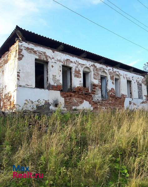 Баранчинский село Серебрянка, Потяжинская улица частные дома