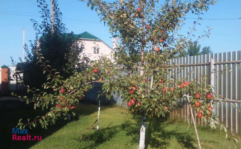 Отрадное село Нечаевка, Озёрная улица, 48 частные дома