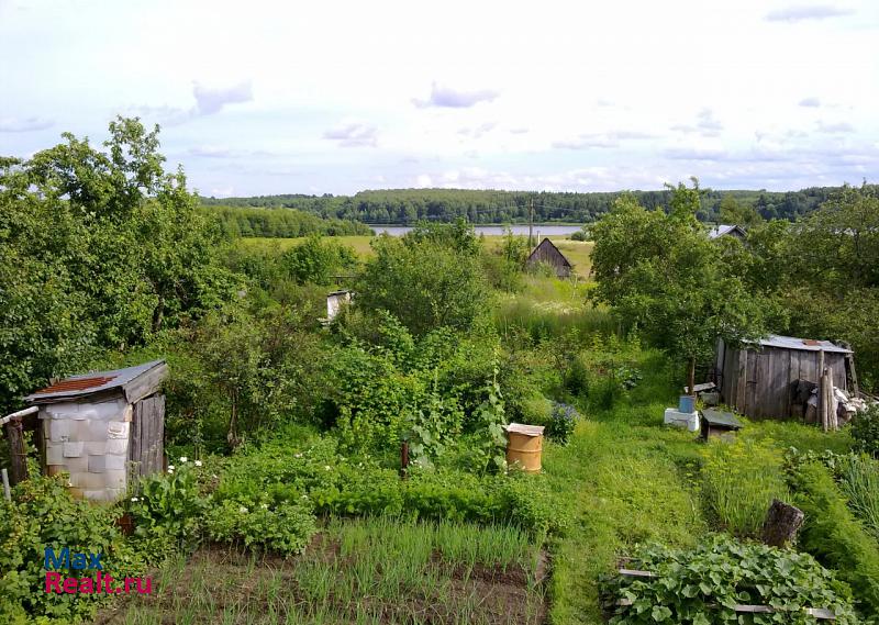 Чкаловск деревня Алеево продажа частного дома