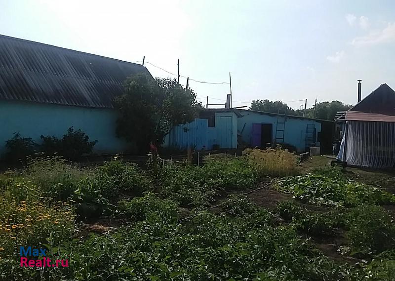 Усть-Кинельский село Сырейка, Южная улица частные дома
