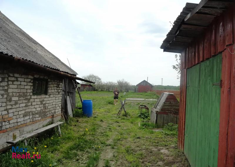 Петровское село Деболовское частные дома