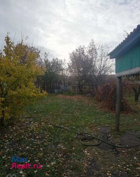 Воробьевка село Воробьёвка, улица Чкалова, 40 частные дома