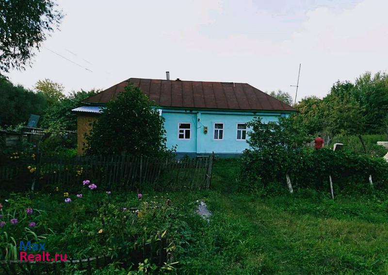 Александро-Невский деревня Чернышевка частные дома