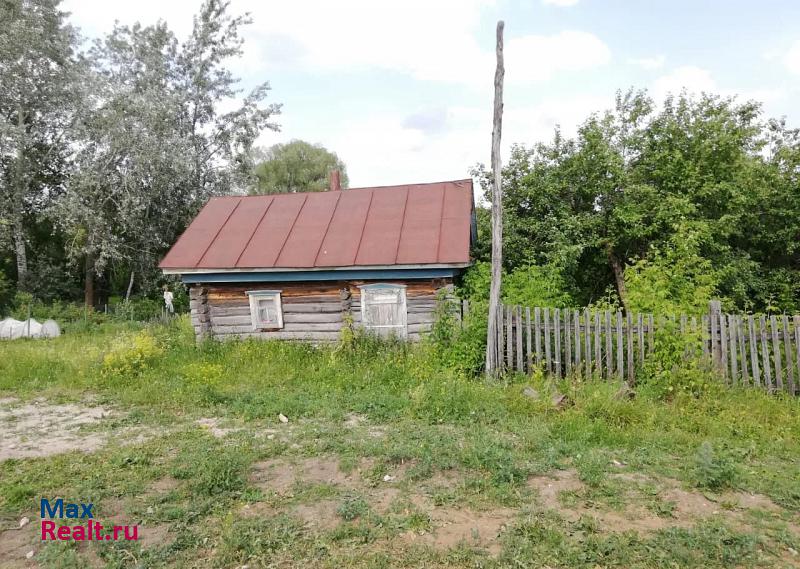 Апастово село Большое Русаково, улица Ленина частные дома