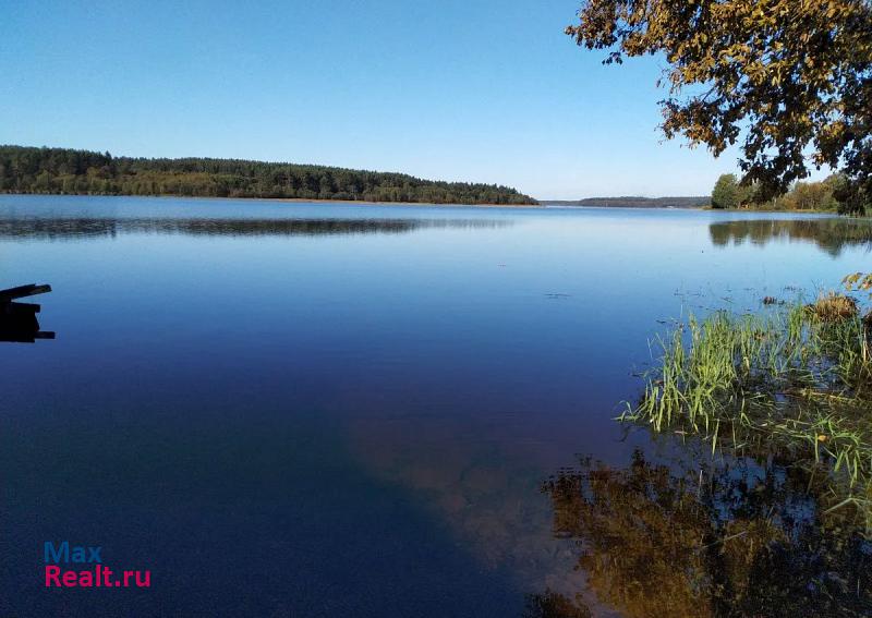 Озерный Новгородская область, Валдайский район продажа частного дома