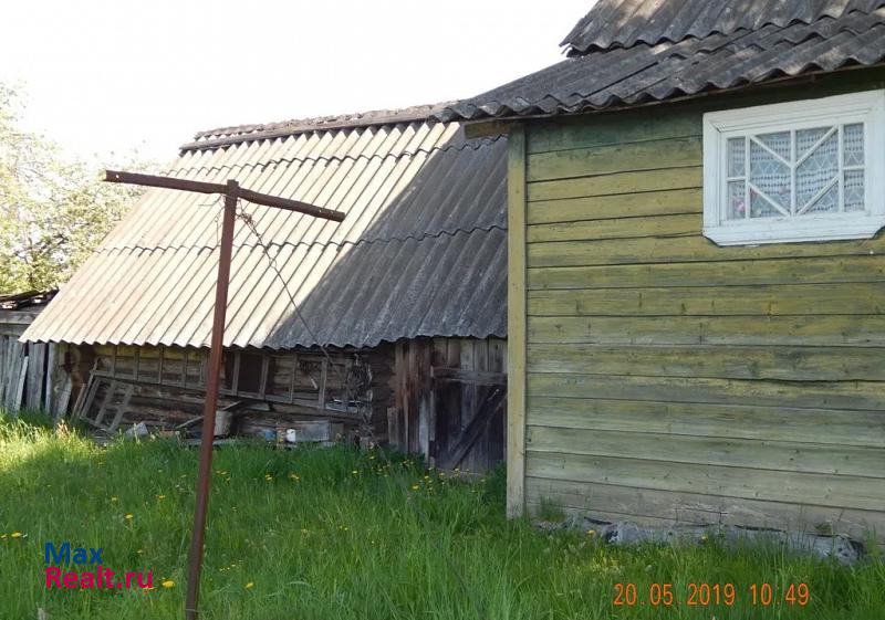 Парфино Залучское сельское поселение, деревня Новоселье частные дома