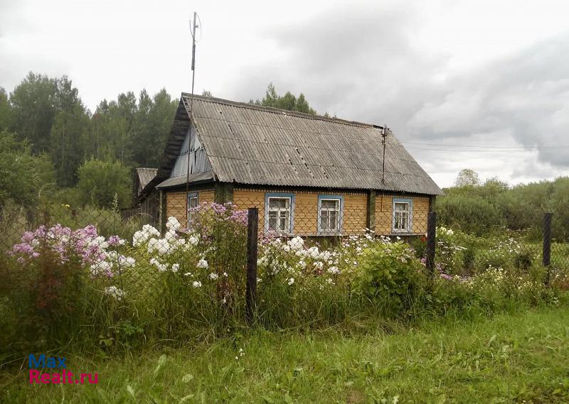 Новосокольники деревня Васютино частные дома