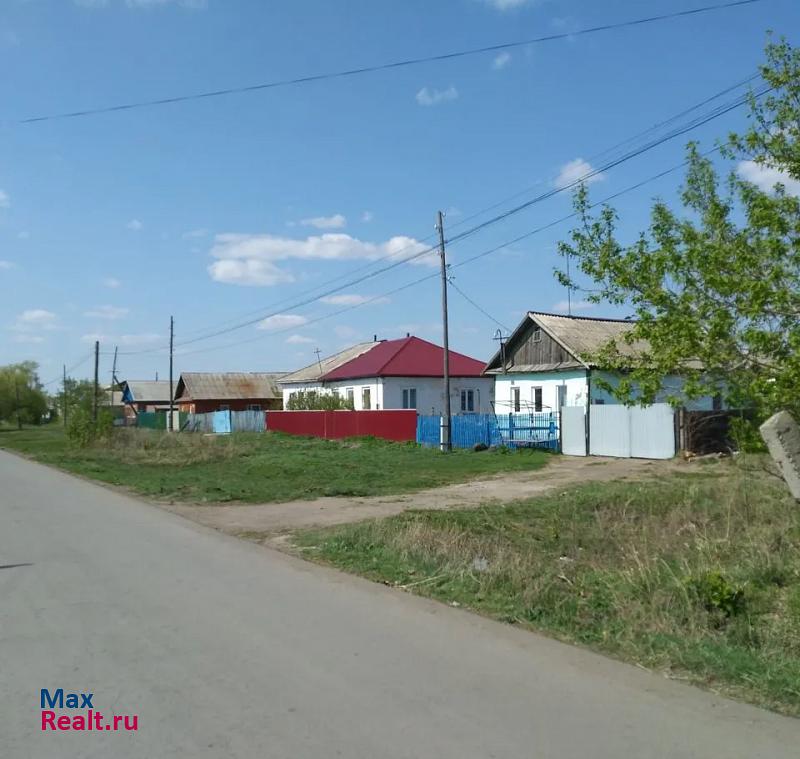 Нововаршавка деревня Бердниково, Октябрьская улица частные дома