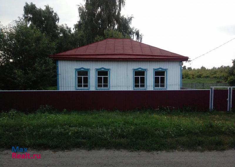 Краснозерское село Веселовское, улица Гагарина частные дома