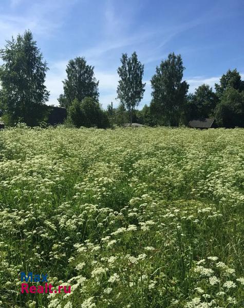 Хвойная село Минцы, поселок Василево частные дома