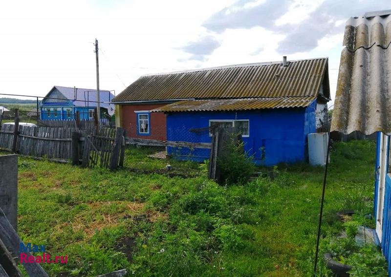 Клявлино село Старое Резяпкино, Черемшанская улица частные дома