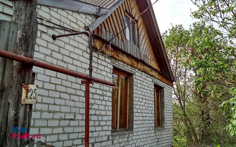 Большие Березники п. Николаевка, д. 125 частные дома